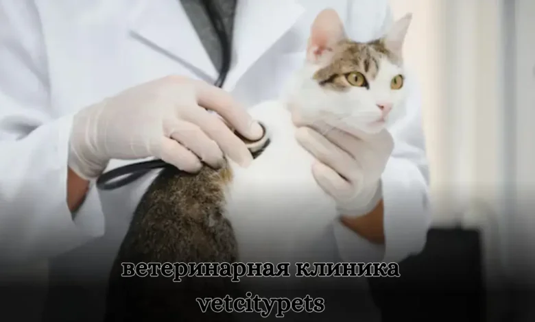 ветеринарная клиника vetcitypets